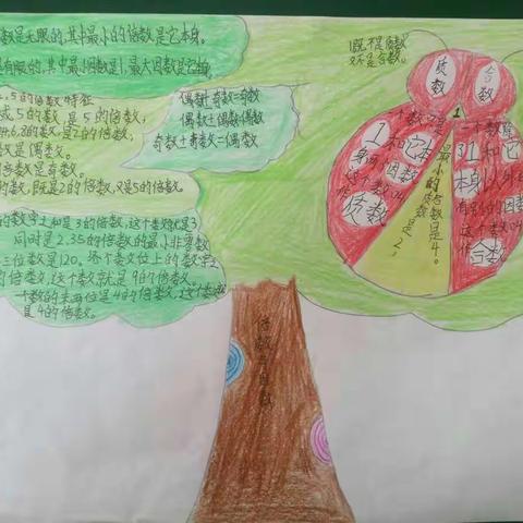 五年级十班数学第三单元 倍数与因数 知识梳理