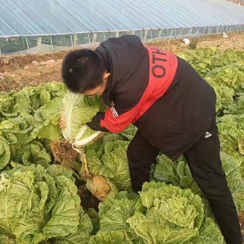 冬日暖阳 七年级三班 张潇文