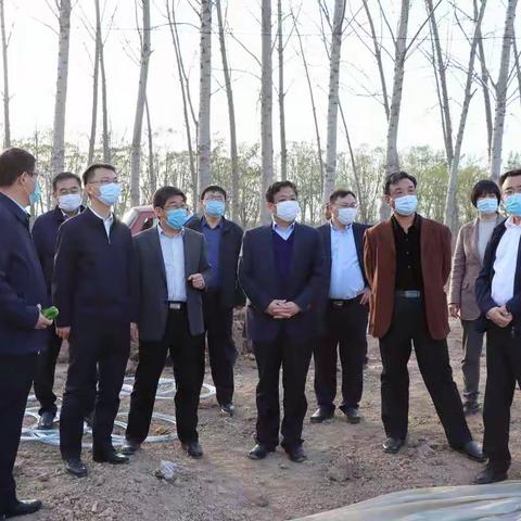 家家悦集团来许商街道考察大棚菜椒产业发展