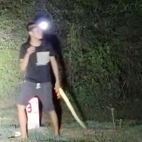 2020年07月26日晚上输完油后再加班搞到27日凌晨02：40分收工，贴桩带、画桩带号除草等等，共计37个标桩。