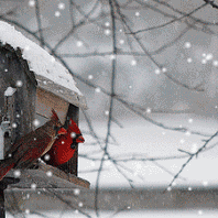 金童幼儿园《食育篇》——大雪