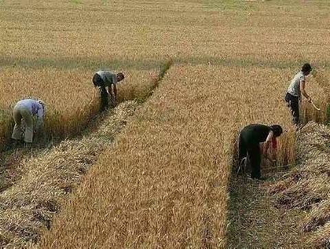 改革开放40周年之家乡巨变      （初二12班）