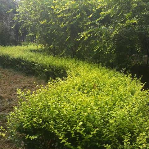 风景就在不远处