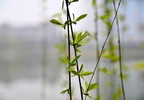 停课不停学，我们在行动