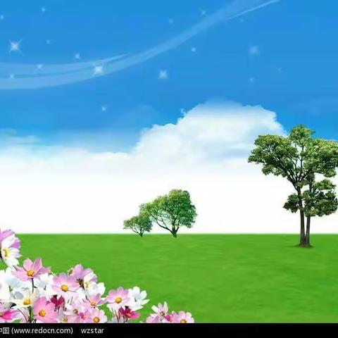 啄木鸟行动 ——成安二中七年级纠正社会用字活动