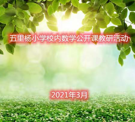 各放异彩，共促成长——五里杨小学校内数学公开课活动