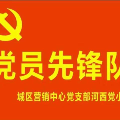 体现党员先锋队和支部凝聚力