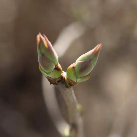 清明假期“趣河边”