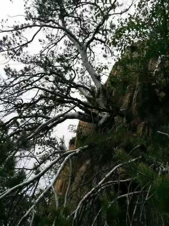 嵩县六龙山风景区图片图片