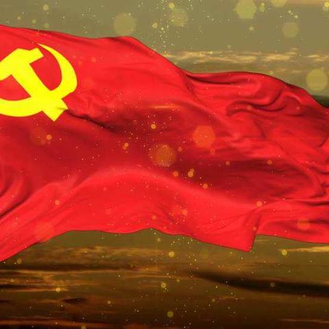 徐镇镇积极开展“整乡推进、逐村观摩”活动