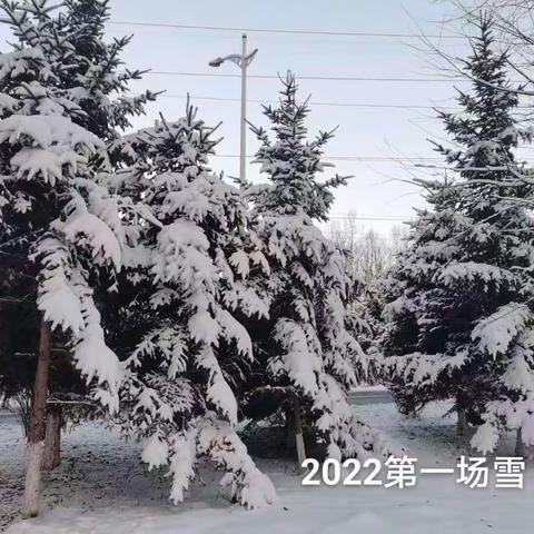 2022年入冬以来的第一场雪