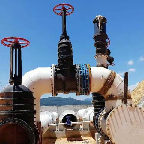 尤溪兴头水库引水系统工程（大池——三奎头段）C3标完工验收