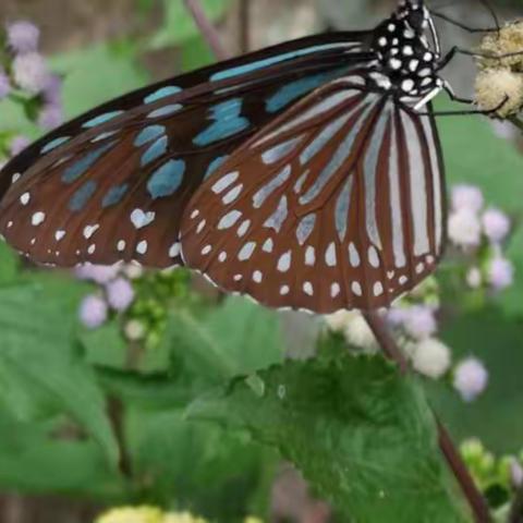 20181110桂溪行行摄摄