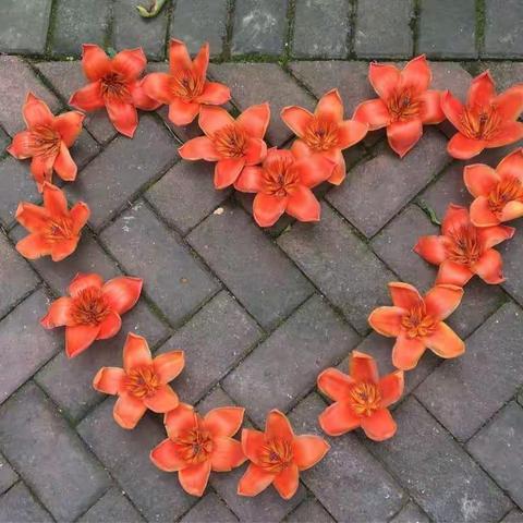 20180422江滨相亲角活动