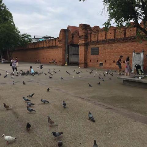 泰国之旅（二）