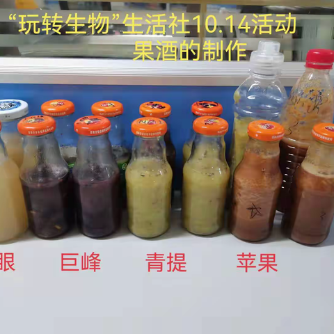 北屯高级中学社团系列之二十二