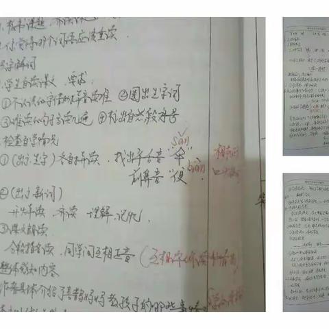 教师线上育花朵纪实