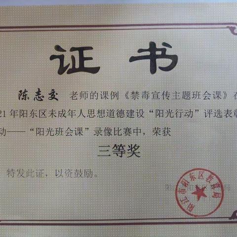 大沟镇中心小学未成年人思想道德建设“阳光行动”系列活动硕果累累