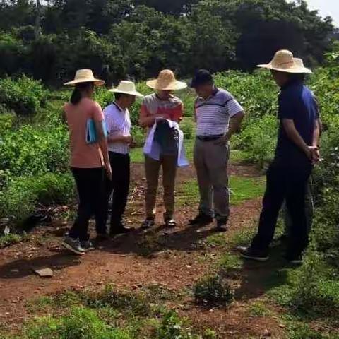 海南省2019年国家水土保持重点工程项目实施方案技术评审会圆满完成 