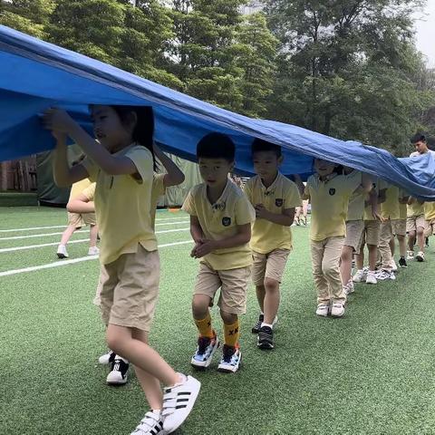 喜欢黄色的小虫子