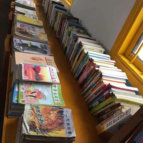 蜂采百花酿蜜甜 人读群书明真理                          ——遨游书海之趣