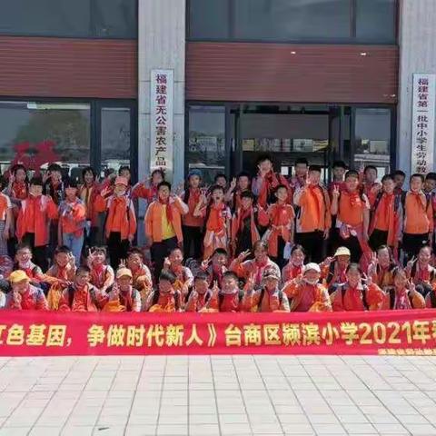 感受自然魅力，体验劳动乐趣，传承红色基因——颍滨小学研学旅行活动总结