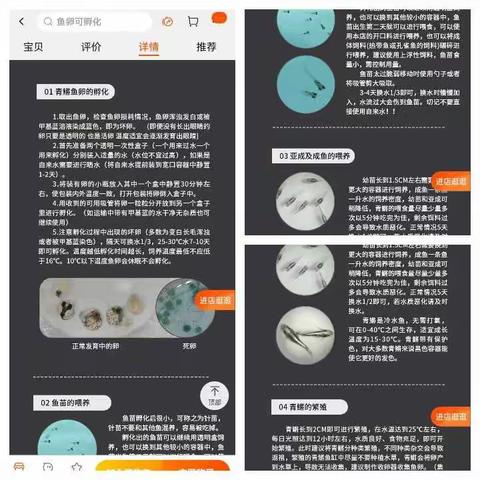 青鳉鱼卵的孵化日志