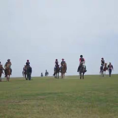 呼伦贝尔边疆北线行下篇