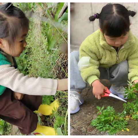 月亮湾幼儿园——清明节活动