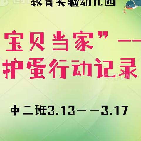 长春市宽城区教育实验幼儿园护蛋行动---中二班活动记录