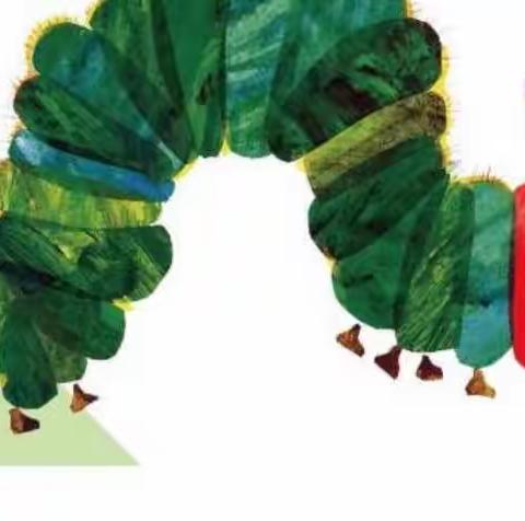 hello毛毛虫🐛