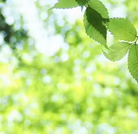 写封信寄给美好的春天——华容县博雅幼儿园植树节倡议书