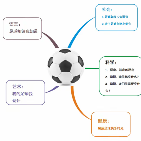 太阳五班的Life fun——徜徉足球的世界