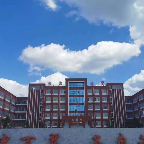 社区防疫进行时，志愿服务在行动——大名县民族学校党支部积极投身防疫工作