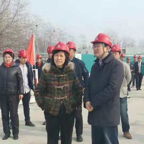 张欣欣常委赴东升镇检查大气污染防治措施落实情况