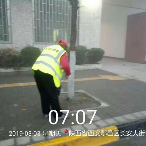 秦镇道路、河道周末工作日志