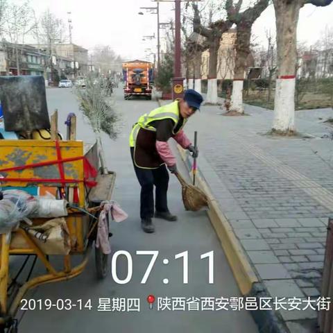 秦镇道路、河道项目工作日志；