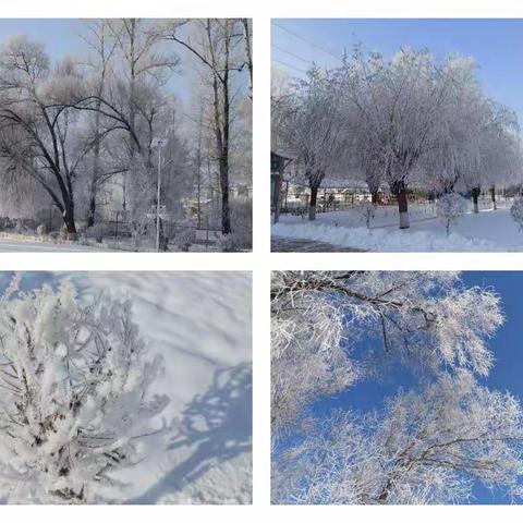 欢乐冰雪 相约冬奥——石咀小学开展冬季冰雪体验活动