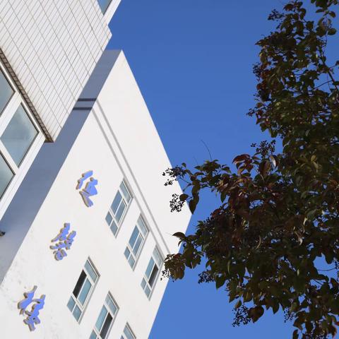 一次未完成的任务