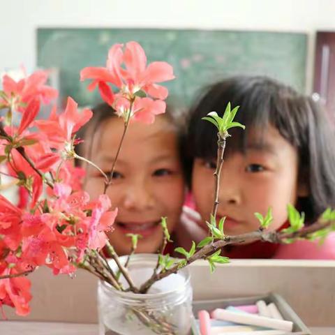 绿是春天的盛装