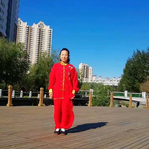 杨氏八十五式太极拳