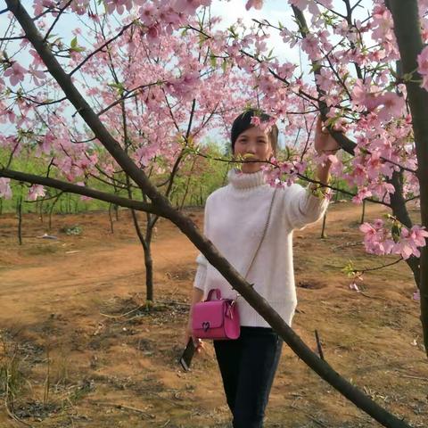 一路高歌奋进 一带繁花似锦