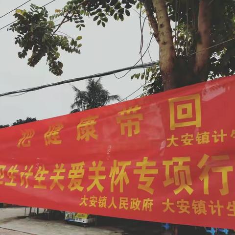 “把健康带回家，幸福过大年”——大安镇开展流动人口和留守儿童关怀关爱宣传活动