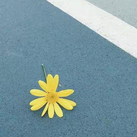 习惯贵在坚持――五二家长会