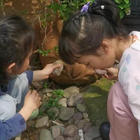 寨底启智幼儿园中班第九周花絮——主题课《奇妙的声音》