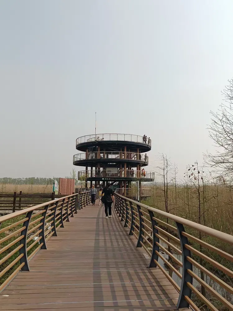 走进崇明西沙湿地明珠湖景区