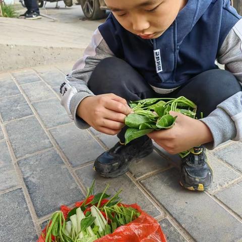 大荔县西七儿童服务站活动简报