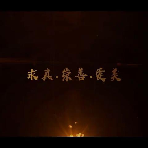 徐州市公园巷小学新教育实验调研活动