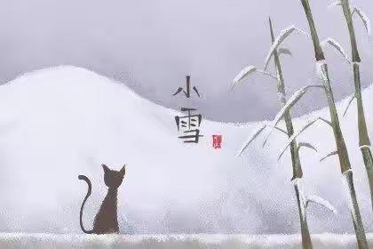 “小雪到，冬始俏” 二十四节气-小雪