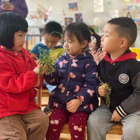 【学思笃行·边趣特色课程活动】野菜之奇食妙享——中三班班本课程故事分享